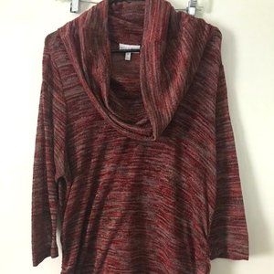 Multi Color Sweater with Cowl Neckline